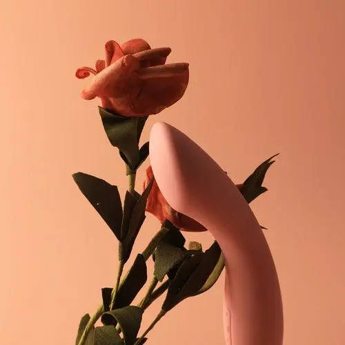 AMY - Image 6
